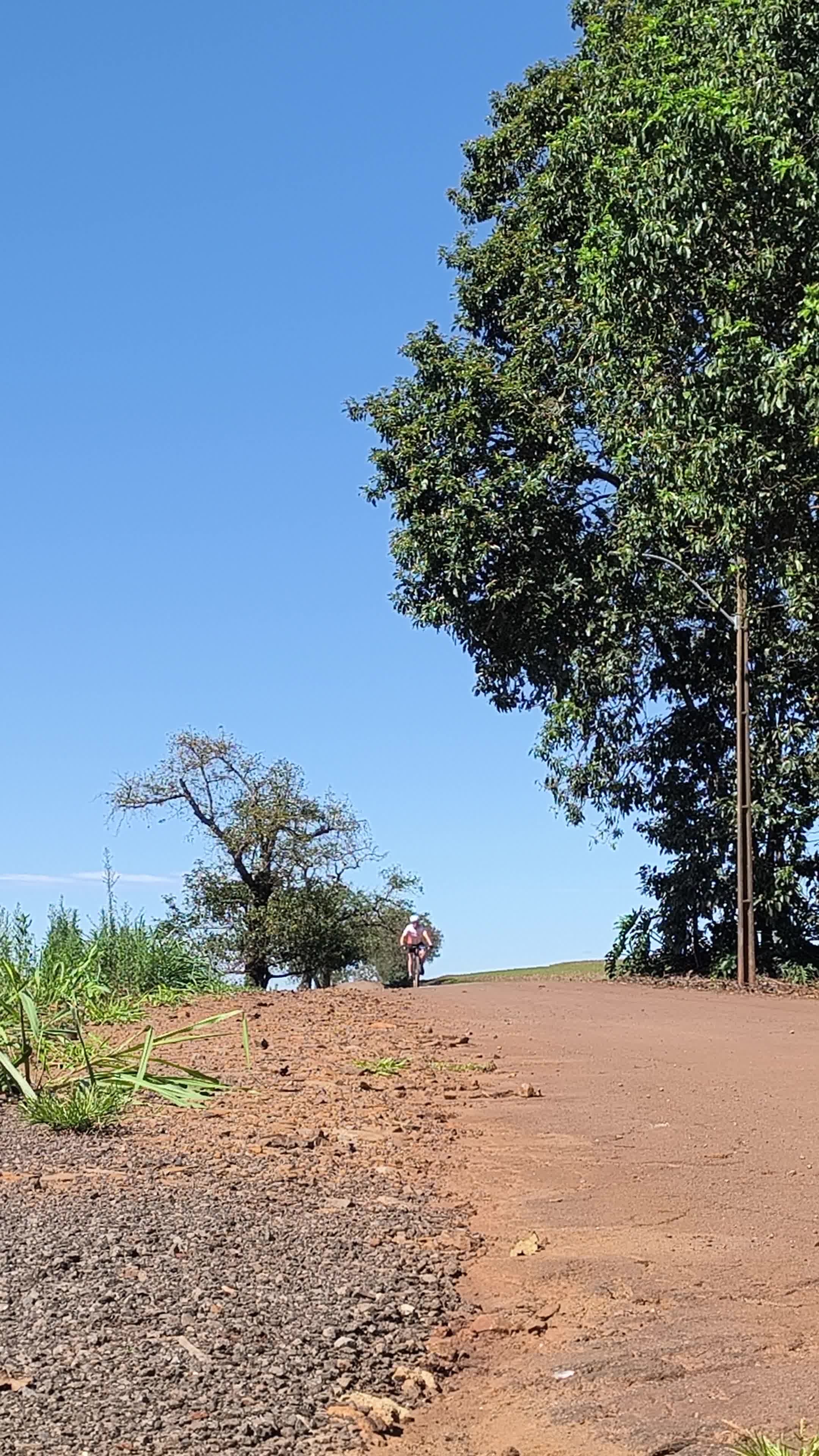 Vídeo #20916